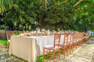 long table with birch and orchids