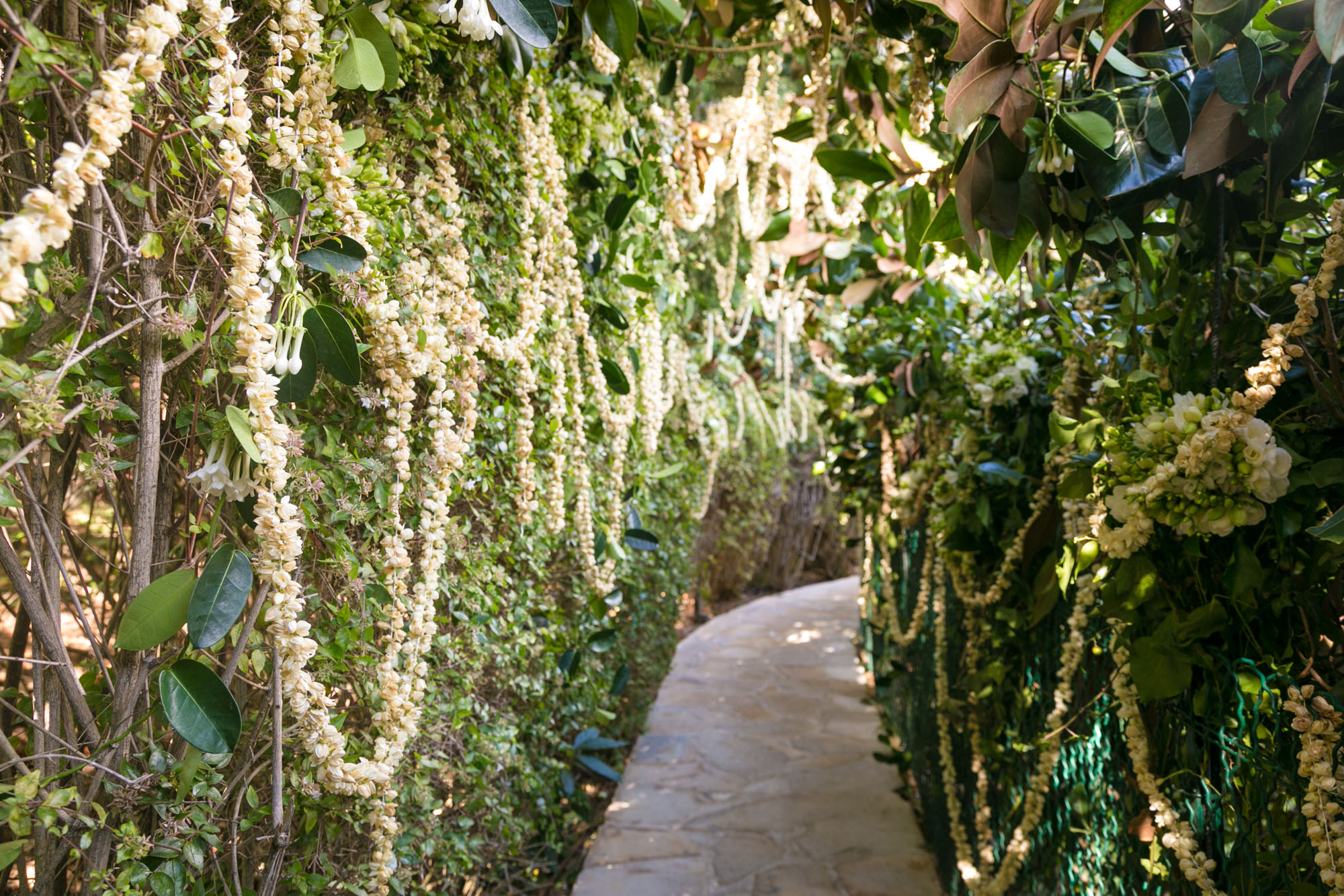 garden-wedding-walkway